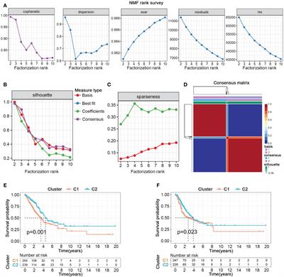 Integrated bioinformatics analysis of nucleotide metabolism based molecular subtyping and biomarkers in lung adenocarcinoma